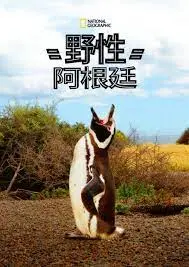 《国家地理 野性阿根廷》：一窥南美大陆的狂野心脏！这片子看得我血脉偾张！