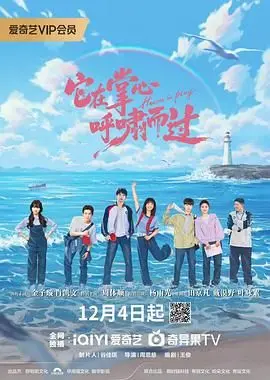 它在掌心，呼啸而过 海报