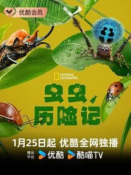 虫虫历险记 海报